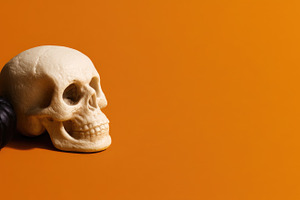 Halloween skull and black pumpkin on orange background, a Person Photo by José Manuel Gelpi