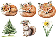 Boho Woodland Baby Floral Animals, an Illustration by CitraGraphics (Thumbnail 2 of 5)
