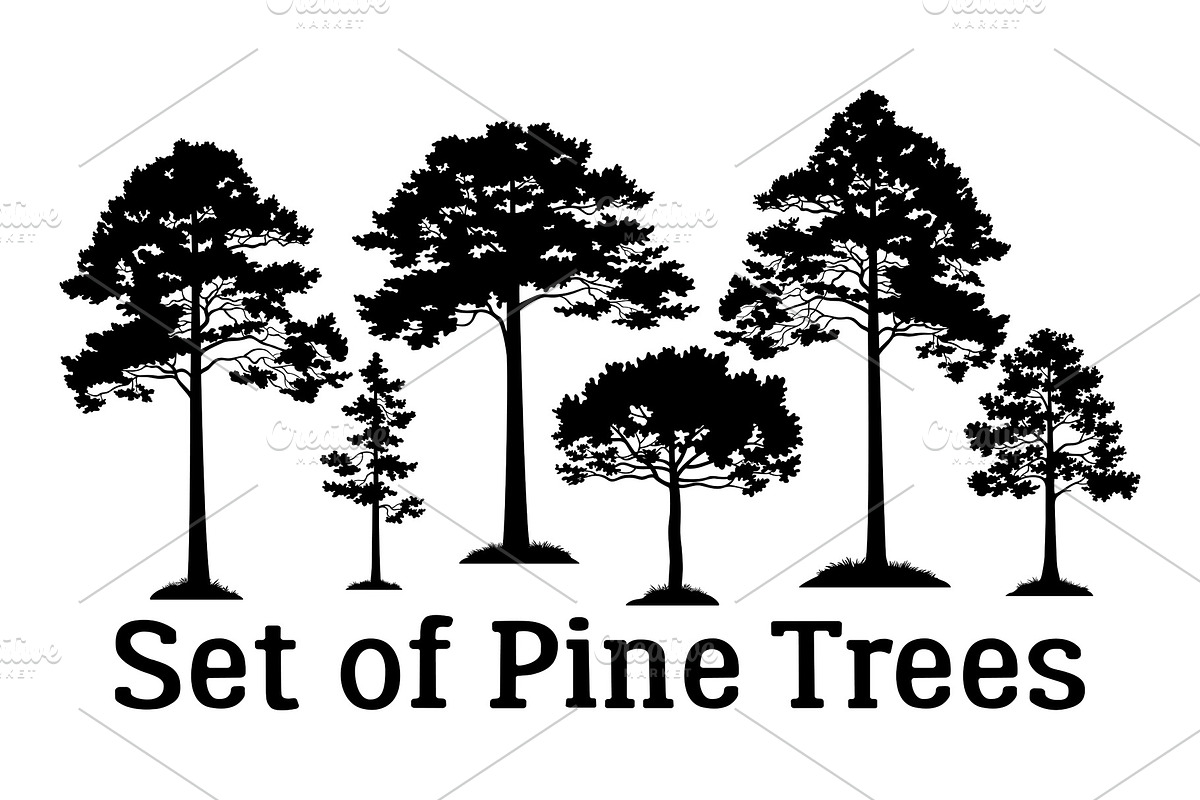Pine Trees Silhouettes, an Illustration by Ok-sana