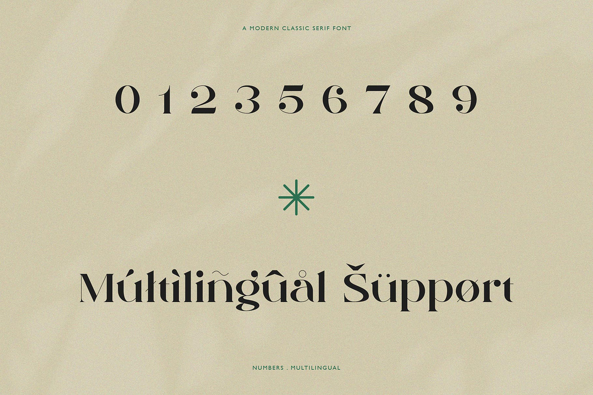 Qamille - Modern Classic Serif Font, a Serif Font by StudioinBry (Photo 12 of 13)