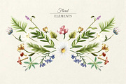 Wild Flower Garden, an Object Illustration by Storyteller Imagery (Thumbnail 2 of 12)