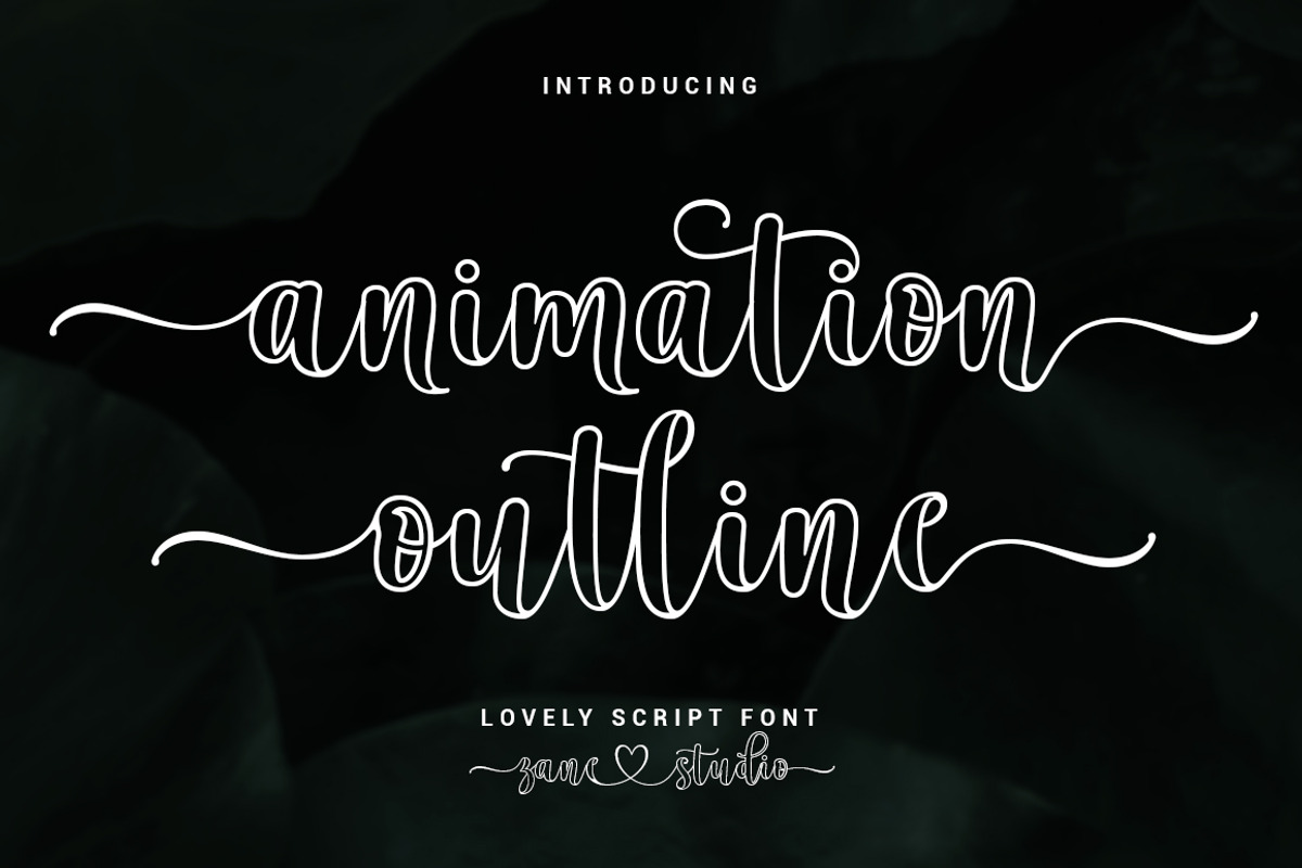 Animation Outline, a Script Font by Zane Studio (Photo 1 of 8)