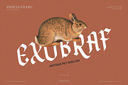 NCL Fegakines - Stylish Blackletter, a Blackletter Font by Enxyclo Studio (Thumbnail 6 of 15)