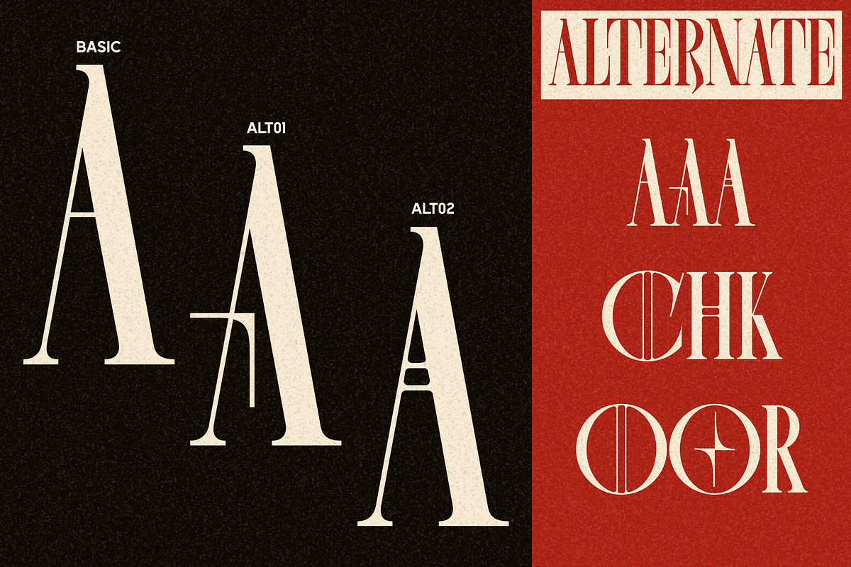 Chelion, a Serif Font by Eotype Studio (Photo 5 of 9)