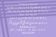 Reafin || Modern Elegant Serif Font, a Serif Font by Idea Studio (Thumbnail 9 of 10)
