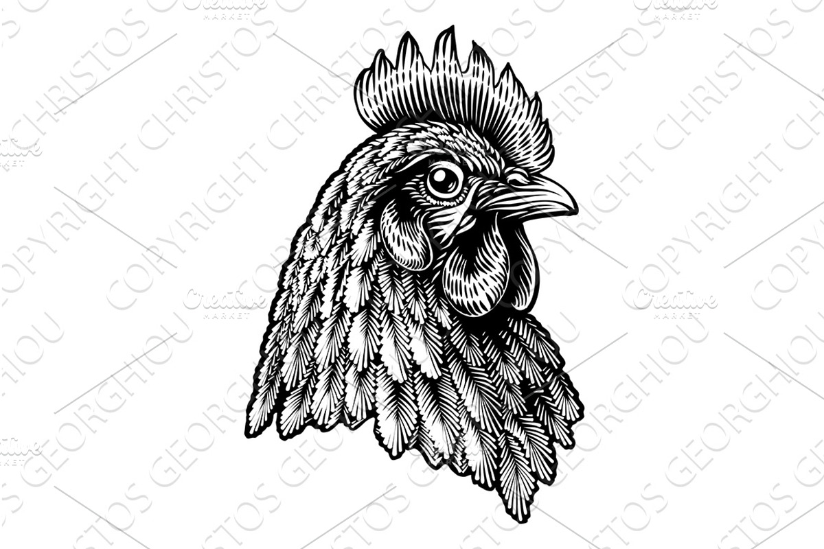 Chicken Hen Rooster Cockerel Face, an Animal Illustration by Christos Georghiou