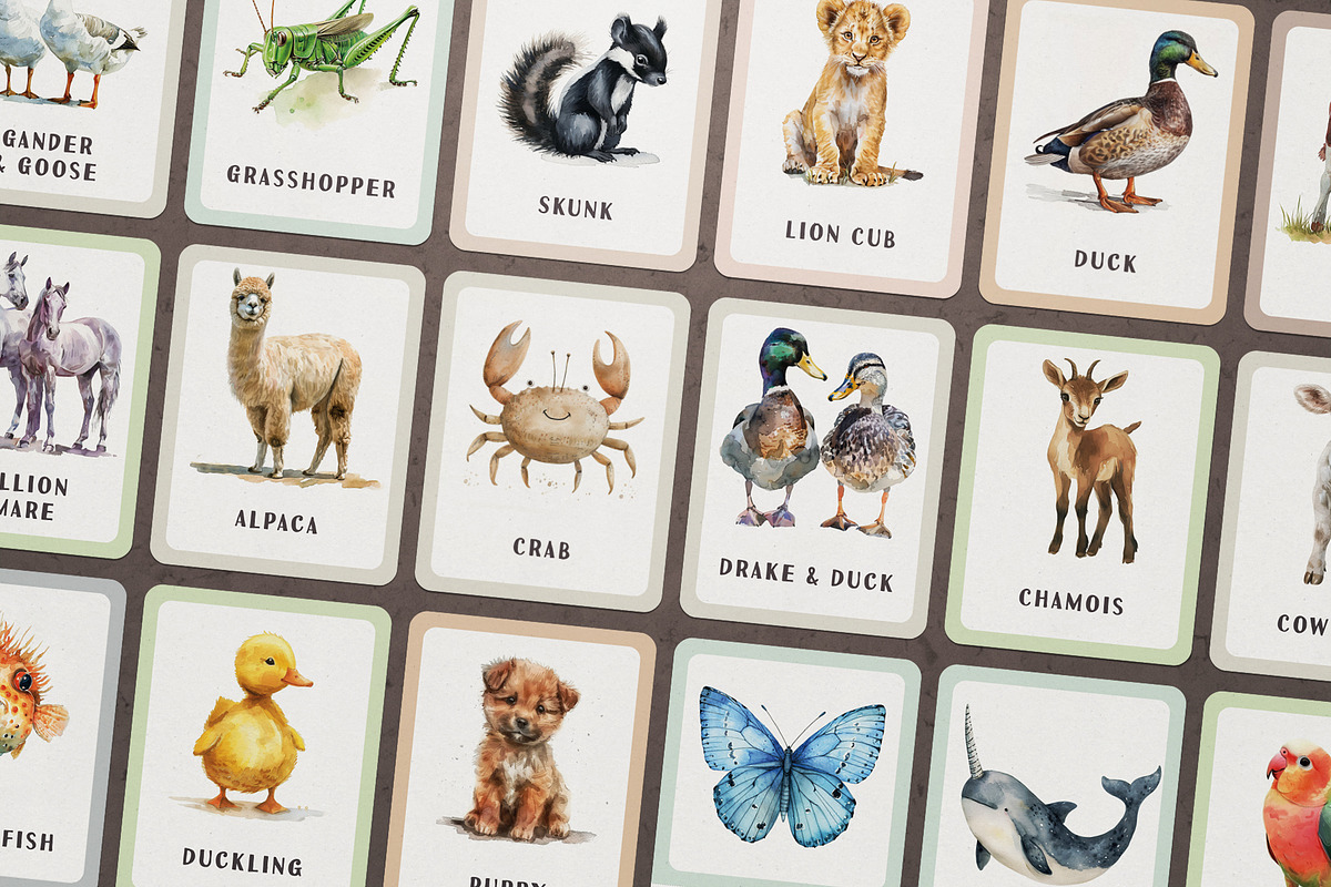 Animals Montessori Cards Bundle, an Education Illustration by Pix Cafe (Photo 5 of 12)