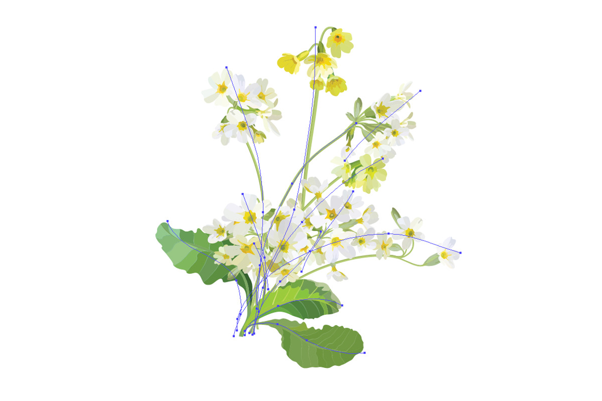 Vector object brushes. Primula., a Brush Add-On by Peolla (Photo 3 of 17)