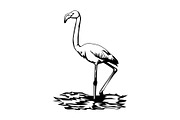 Illustration of Cat design template, an Animal Illustration by Sumberpangan (Thumbnail 1 of 3)