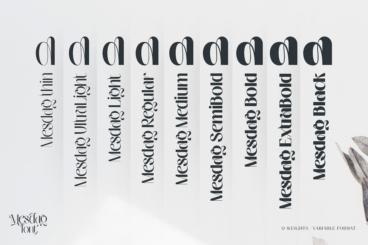 Mesdag Font - unique and chic family, a Sans Serif Font by creativemedialab (Photo 3 of 14)