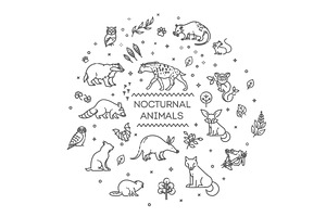 Forest wildlife animals, an Animal Illustration by Tettygreen