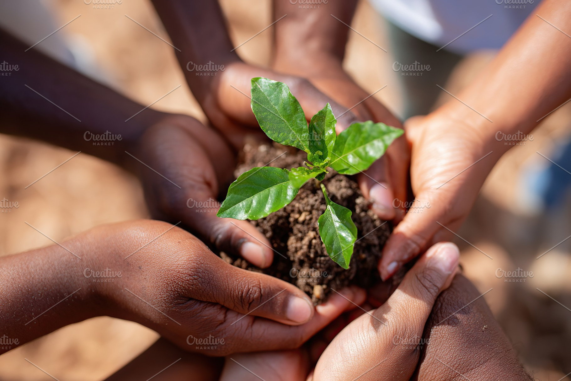 People working together to plant a sapling in the ground during a community gar, a Photo by AlyaAnd
