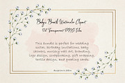 Baby's Breath Watercolor Clipart, a Decorative Illustration by ForhadGFX (Thumbnail 1 of 14)