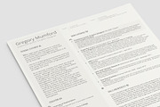 The Professional 2 (PSD + WORD DOC), a Resume Template by Valeur Design (Thumbnail 3 of 3)