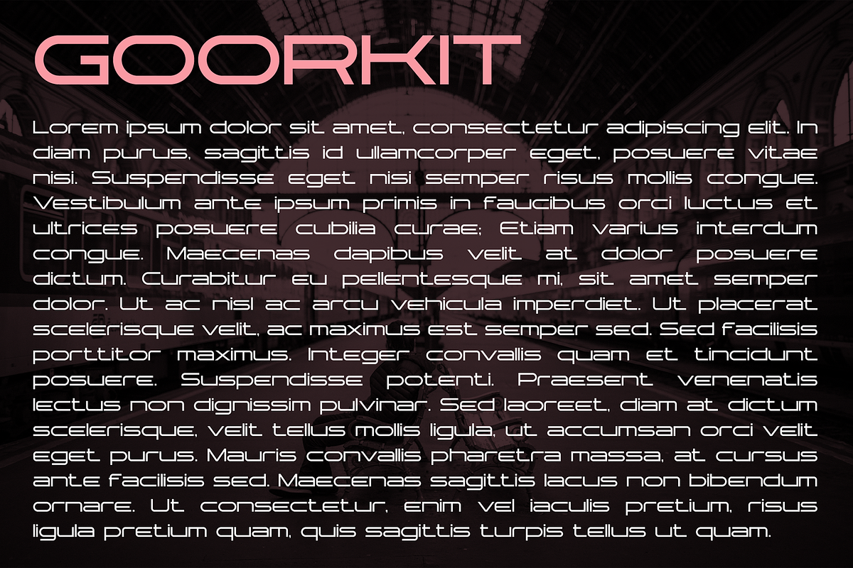 Goorkit font family, a Sans Serif Font by vlad.berla (Photo 6 of 7)