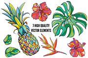 Vector tropical set, a Background Graphic by Purple Platypus (Thumbnail 2 of 10)