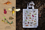 Insects and bugs watercolor clipart, an Object Graphic by ArtSpotVeronika (Thumbnail 3 of 11)