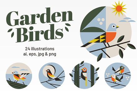 Garden Birds, an Animal Illustration by tifftuff