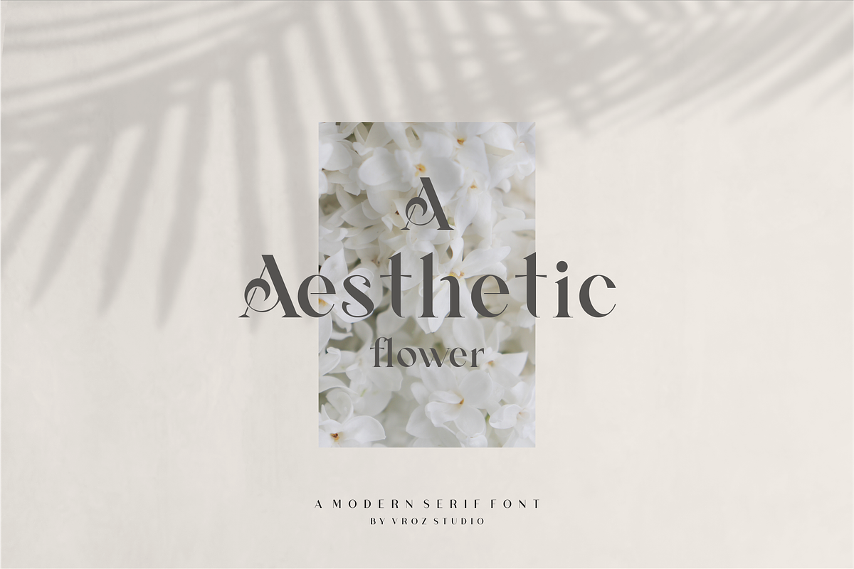AVGAF - A Modern Serif Font, a Serif Font by Vroz Studio (Photo 2 of 12)