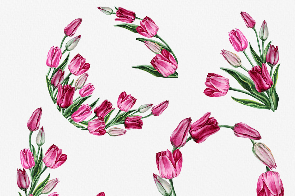 Pink tulips illustration clipart, a Decorative Illustration by Alla Art Poster (Photo 3 of 4)