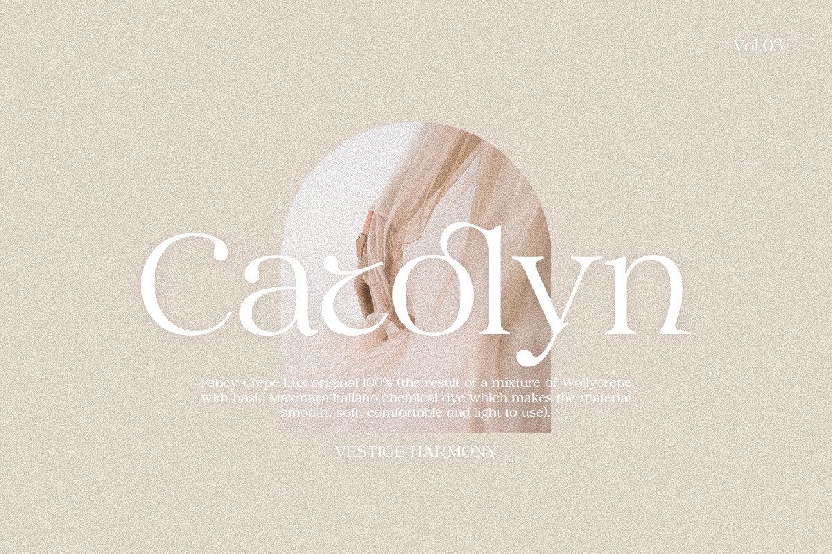 Vestige Harmony, a Serif Font by Attract Studio (Photo 3 of 14)