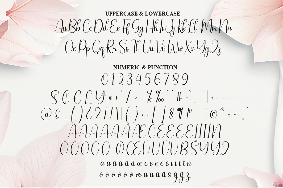 Magnolia | Script Font, a Handwritten Font by Scratchones (Photo 7 of 9)