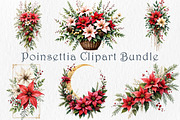 Poinsettia Clipart Bundle, a Seasonal Illustration by GalaDesign03 (Thumbnail 1 of 9)