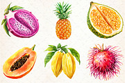 Watercolor Tropical Fruit Clipart, an Illustration by Libby Wishes (Thumbnail 5 of 5)