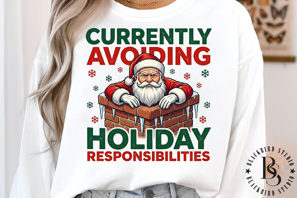 Funny Grumpy Santa PNG, an Object Graphic by Black Bird Studio (Photo 4 of 4)