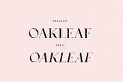 Oakleaf - Elegant & Unique Serif, a Serif Font by Mikhail Fukurou (Thumbnail 8 of 9)