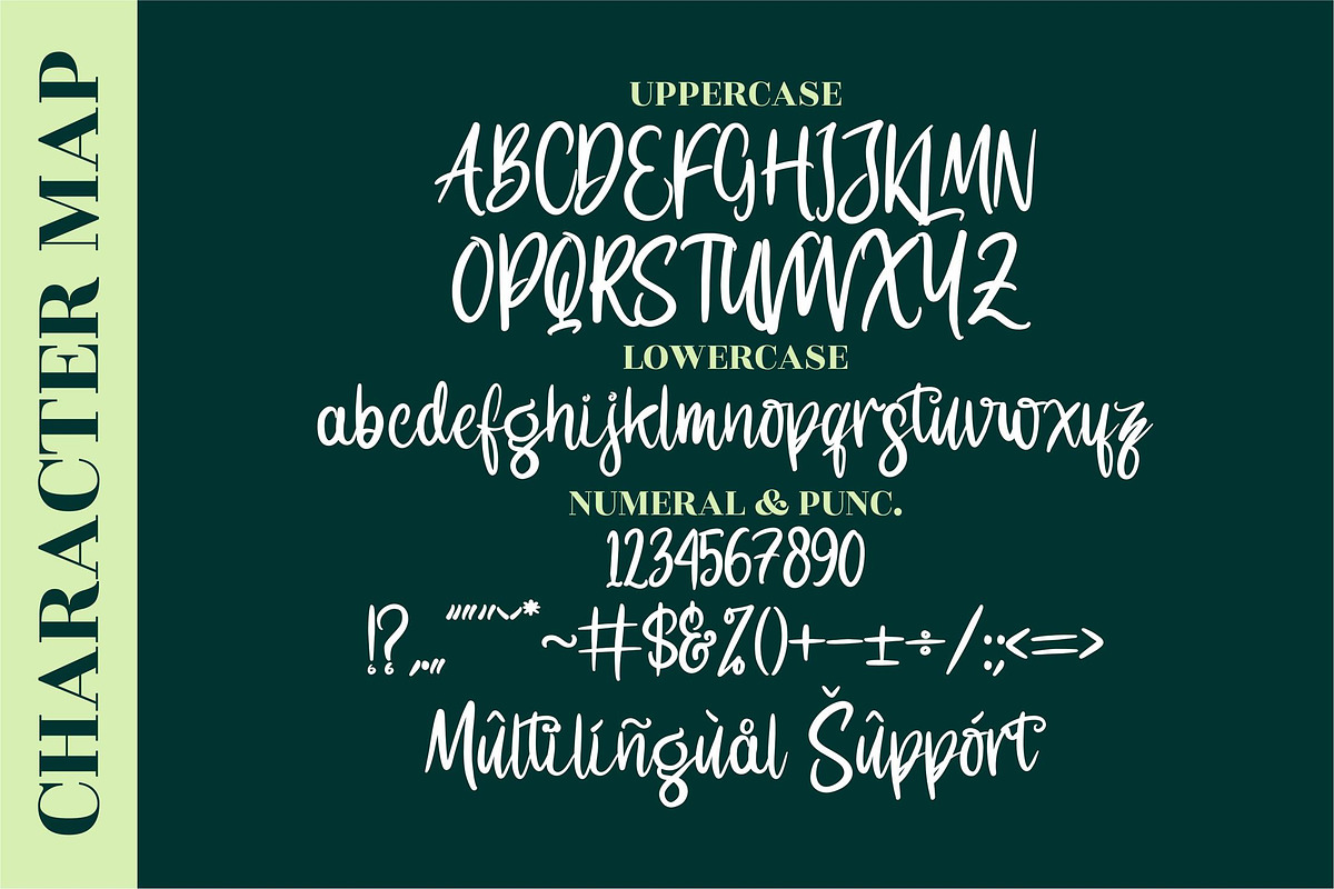 Lemonte Buster Handwritten LS, a Script Font by GranzCreative (Photo 3 of 12)