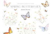 Spring Gardens - Watercolor Edition, an Object Illustration by Isabelle Salem (Thumbnail 9 of 12)