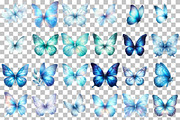 Watercolor Blue Butterfly Clipart, an Illustration by DreamCafeArt (Thumbnail 3 of 6)