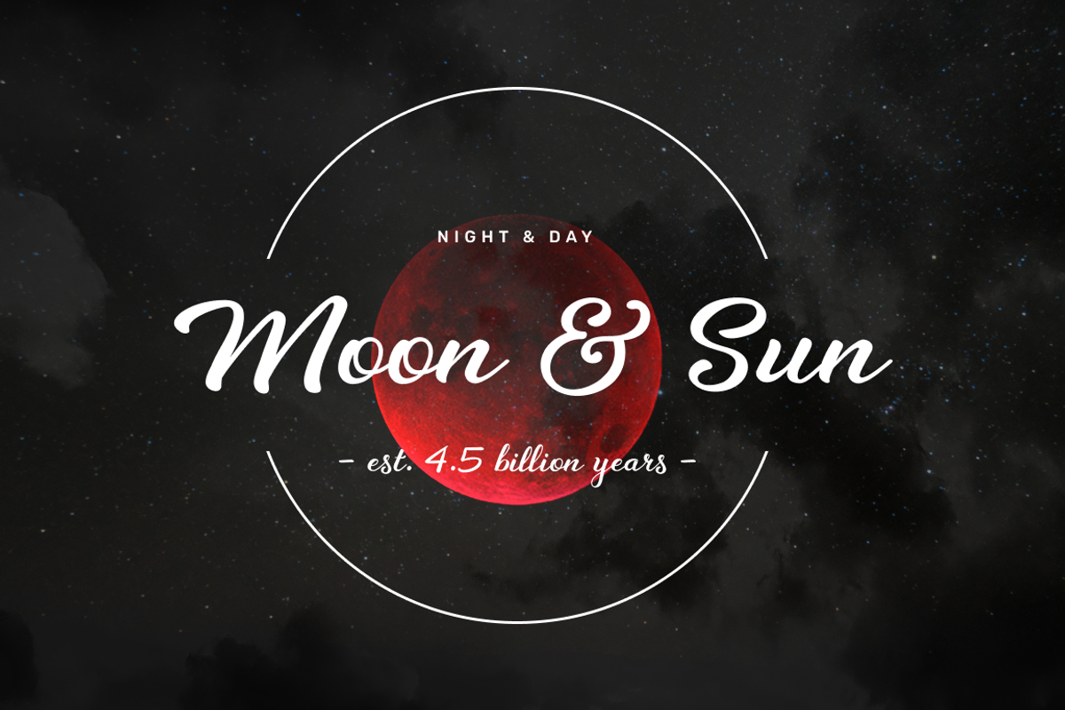 Daylight Moon - Fresh Script Font preview 4