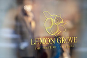 Lemon Grove Logo Template for Canva, a Branding & Logo Template by CactusGroveBranding (Thumbnail 6 of 7)