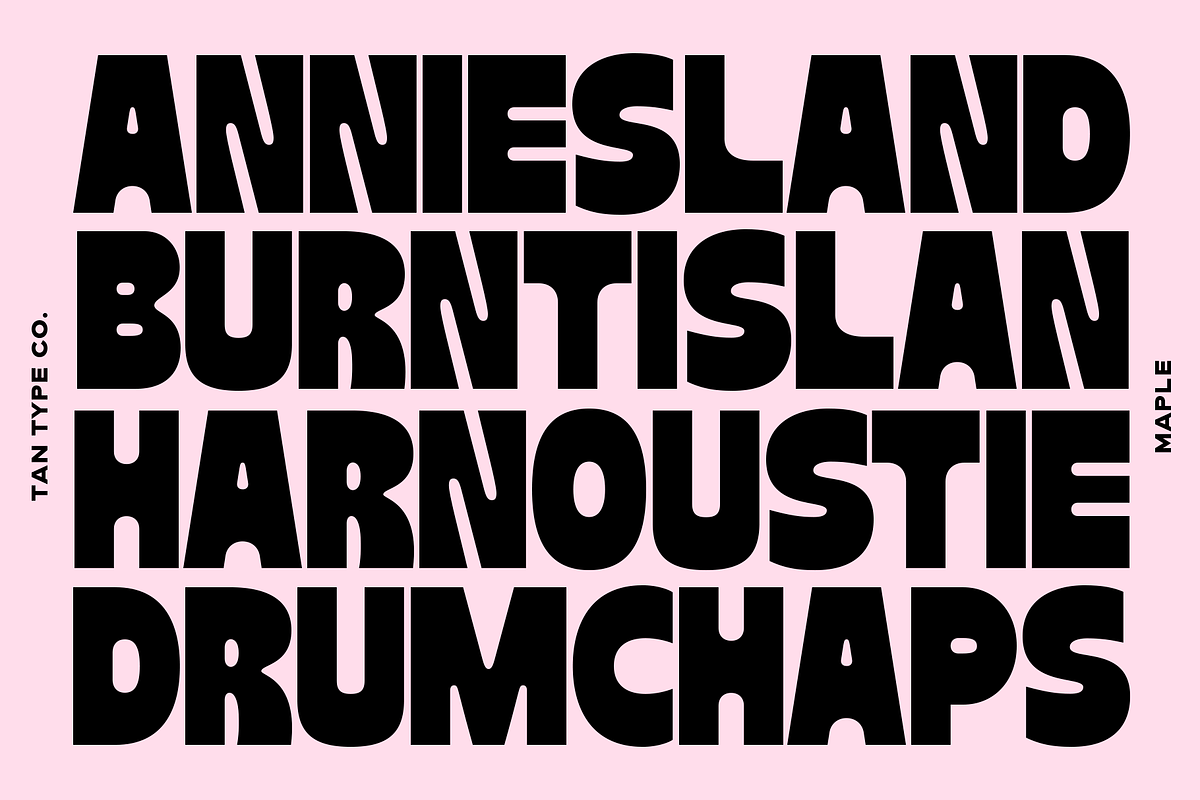 TAN - MAPLE, a Font by TanType (Photo 7 of 11)