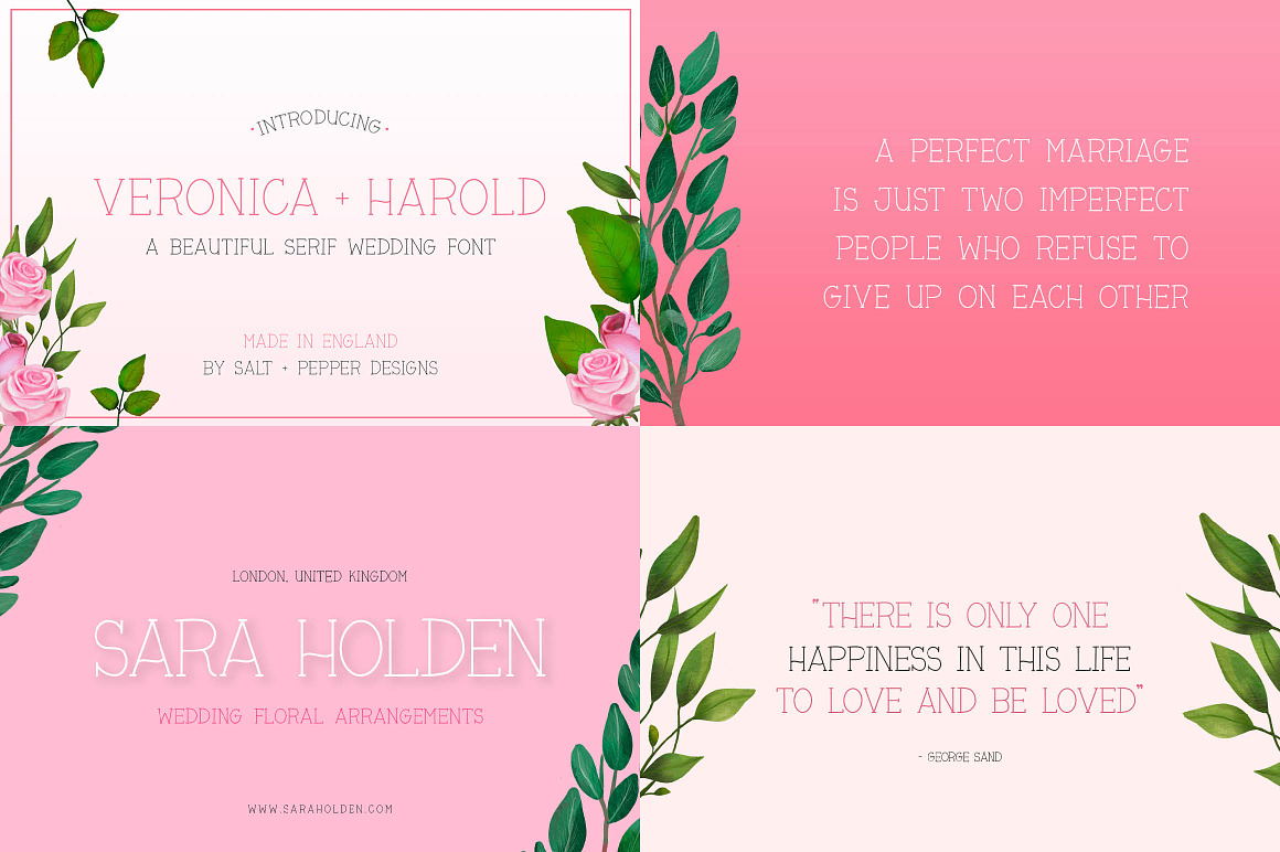 The HUGE Font Bundle (98% OFF) SALE, a Sans Serif Font by Salt & Pepper Designs (Photo 134 of 185)