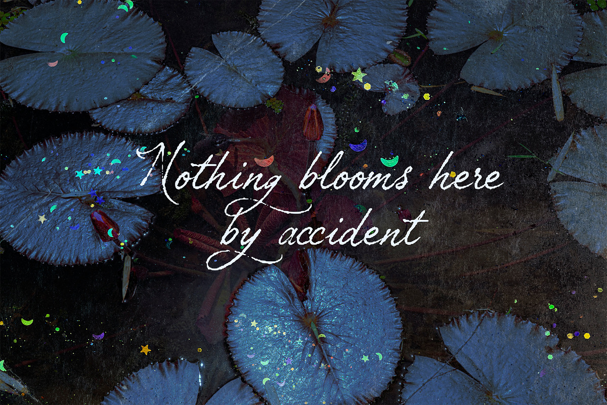 Petal Yonder: Airy Script Font, a Script Font by Mneme (Photo 5 of 9)