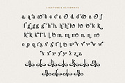 Magic Seventies Font, a Serif Font by HansCo Studio (Thumbnail 11 of 12)