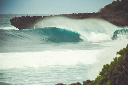 A big wave, a Nature Photo by Alex Zhilkin Std.