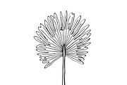 Palm Leaves svg, Botanical png, a Decorative Illustration by Watercolor_Vector Graphic (Thumbnail 12 of 25)