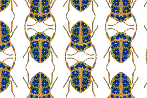 Cornflower Beetle Seamless Vector, a Pattern Graphic by NayaChu