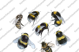 Bee Clipart Watercolor Insect Art