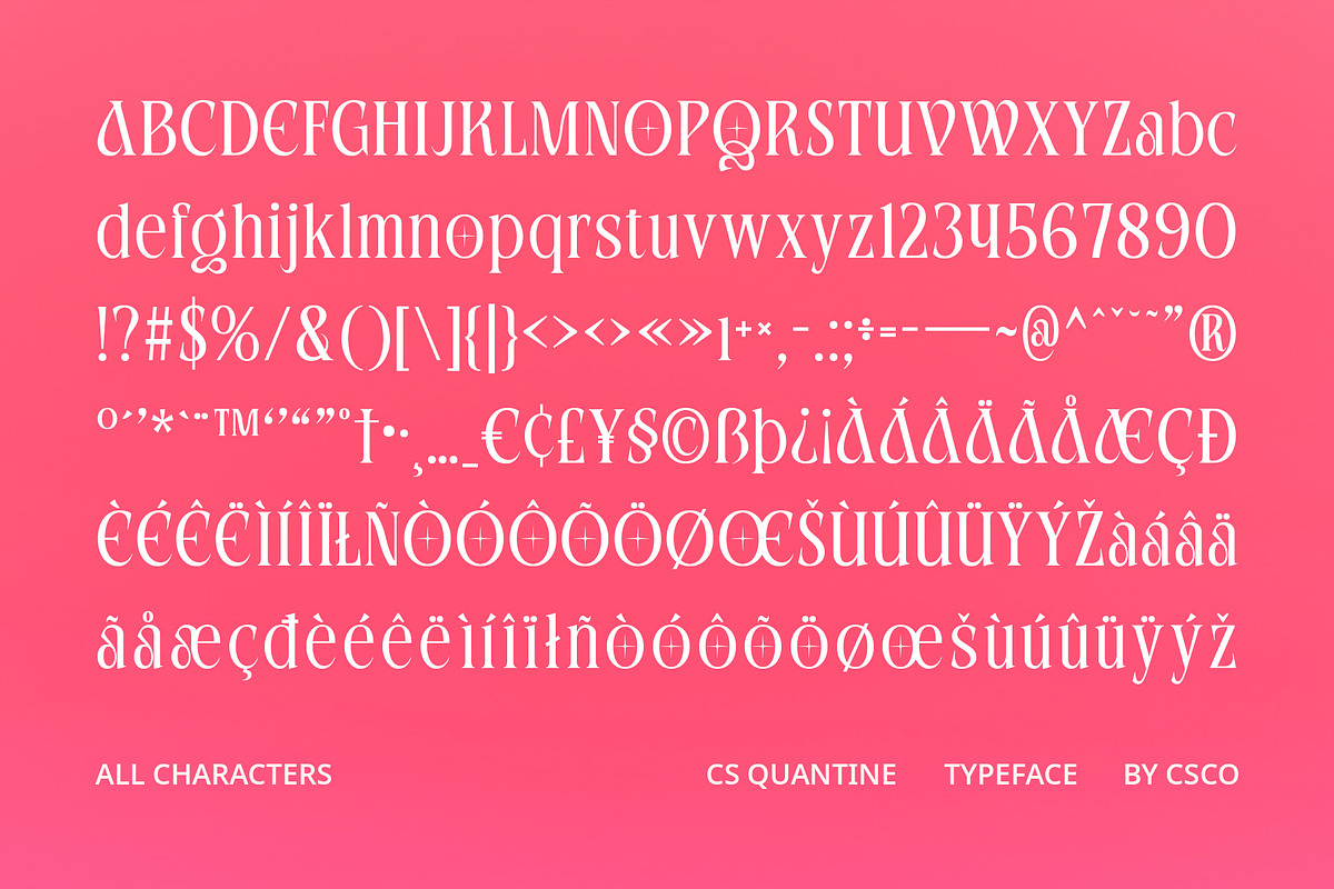 CS Quantine – Elegant Font, a Serif Font by Craft Supply Co. (Photo 8 of 8)