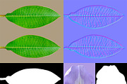 Wisteria Corridor#2, an Environmental 3D Model by AndrewWhite (Thumbnail 7 of 8)