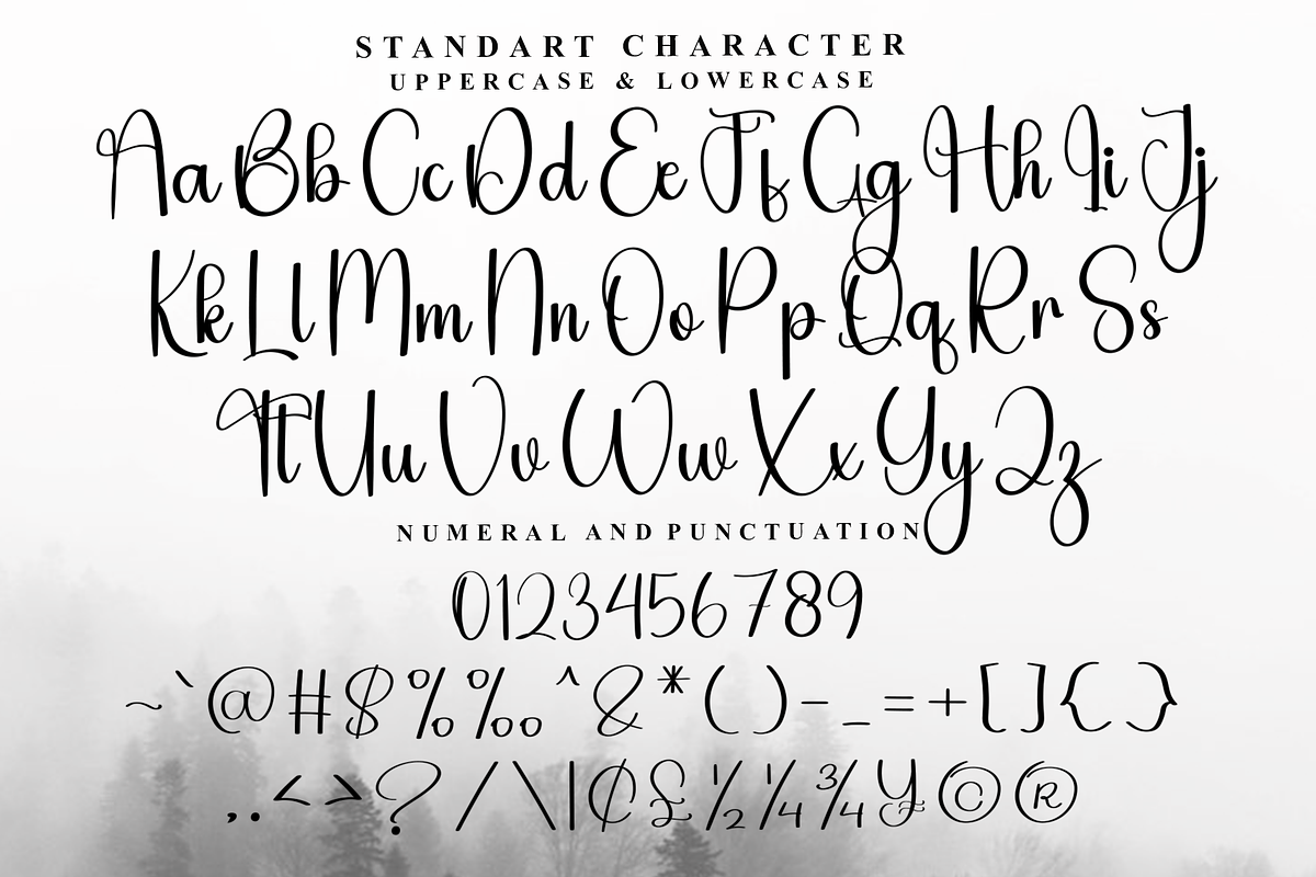 Single, a Handwritten Font by InermediaSTUDIO (Photo 3 of 7)