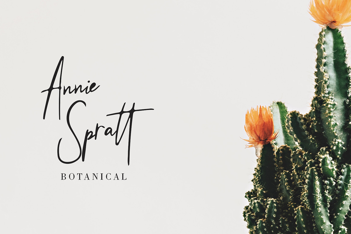 Beringin Stylish Signature Font preview 3