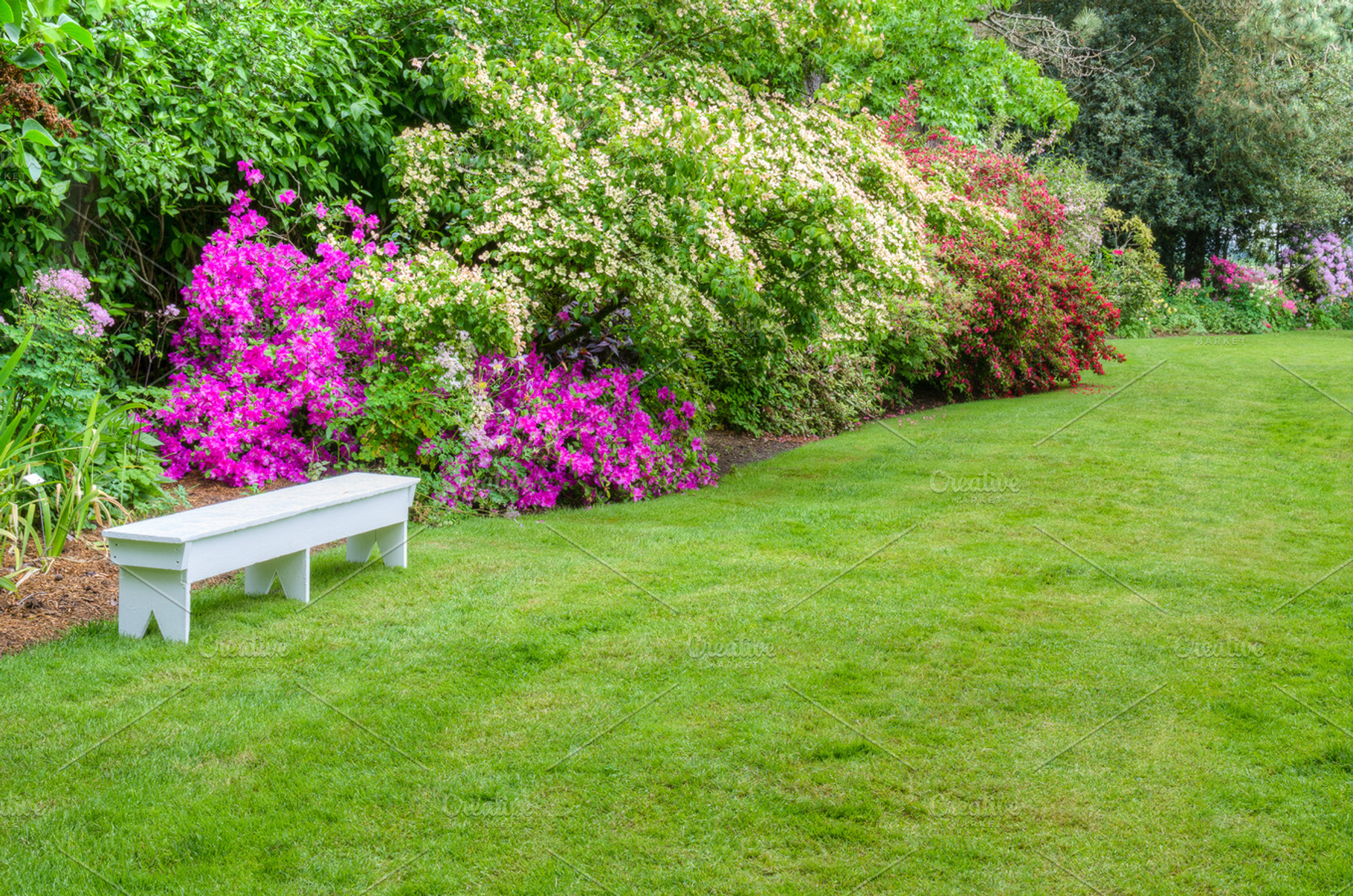 Landscaped Garden Scene With Bench