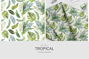 Tropical watercolor collection., a Pattern Graphic by BrushArtDesigns (Thumbnail 5 of 13)