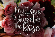 Dynamic Love | Calligraphy Script, a Script Font by StoricType (Thumbnail 5 of 17)